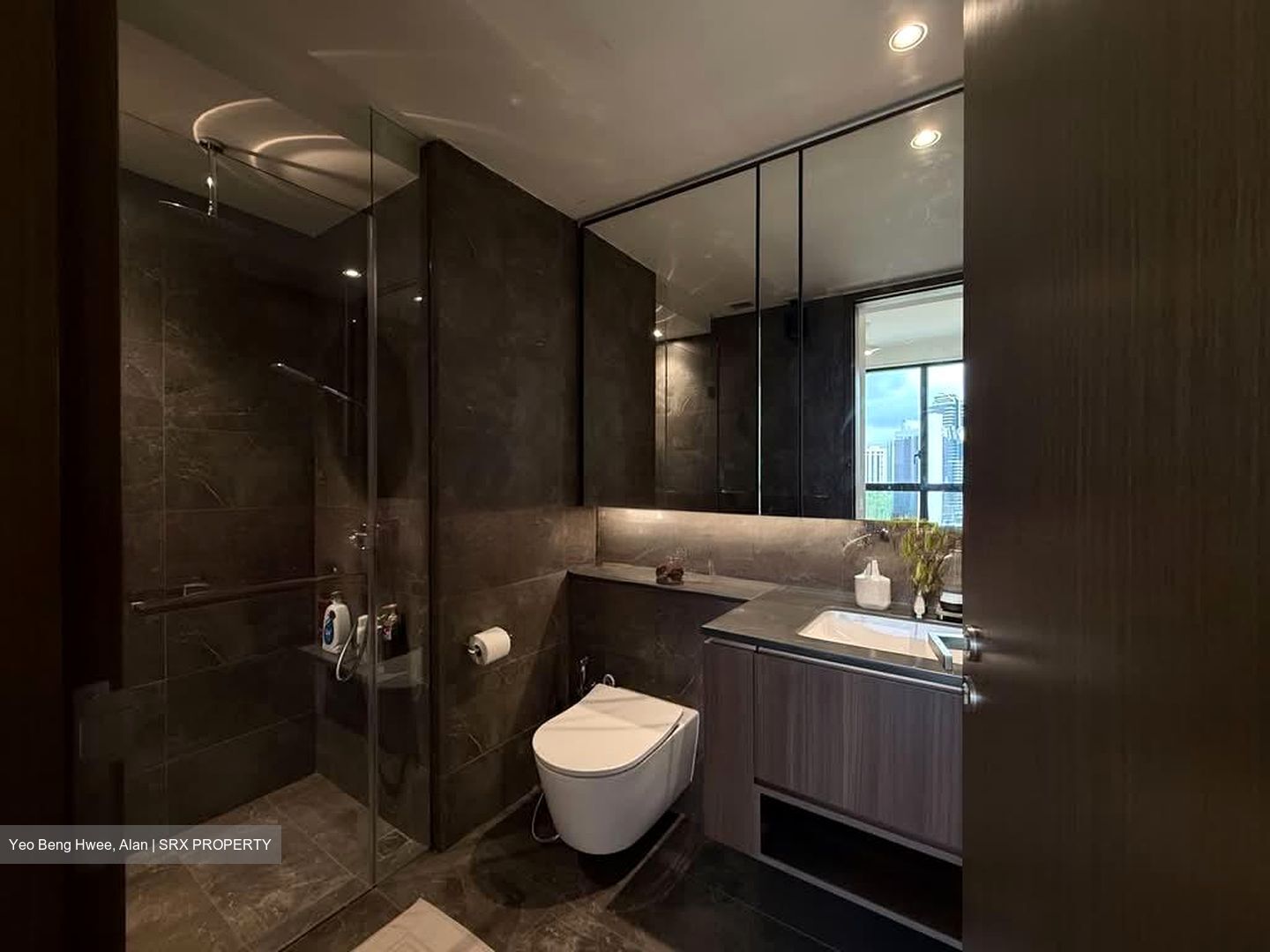 Kopar At Newton (D9), Apartment #574420001